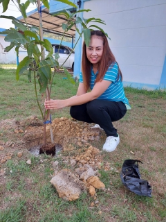 ไฟล์แนบ กปภ.สาขาปราณบุรี ดำเนินโครงการ กปภ.ปลูกป่าเพื่อแผ่นดิน  เทิดพระเกียรติพระบาทสมเด็จพระบรมชนกาธิเบศร มหาภูมิพลอดุลยเดชมหาราช บรมนาถบพิตร ปี 2566 