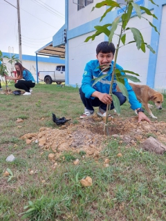 ไฟล์แนบ กปภ.สาขาปราณบุรี ดำเนินโครงการ กปภ.ปลูกป่าเพื่อแผ่นดิน  เทิดพระเกียรติพระบาทสมเด็จพระบรมชนกาธิเบศร มหาภูมิพลอดุลยเดชมหาราช บรมนาถบพิตร ปี 2566 