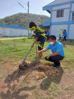 ไฟล์แนบ กปภ.สาขาปราณบุรี ดำเนินโครงการ กปภ.ปลูกป่าเพื่อแผ่นดิน  เทิดพระเกียรติพระบาทสมเด็จพระบรมชนกาธิเบศร มหาภูมิพลอดุลยเดชมหาราช บรมนาถบพิตร ปี 2566 