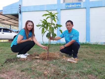 ไฟล์แนบ กปภ.สาขาปราณบุรี ดำเนินโครงการ กปภ.ปลูกป่าเพื่อแผ่นดิน  เทิดพระเกียรติพระบาทสมเด็จพระบรมชนกาธิเบศร มหาภูมิพลอดุลยเดชมหาราช บรมนาถบพิตร ปี 2566 