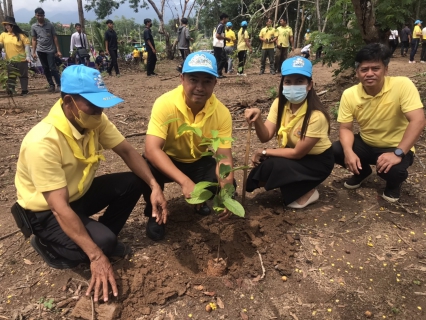 ไฟล์แนบ การประปาส่วนภูมิภาคสาขาจันดี ร่วมกิจกรรม ปลูกป่าเฉลิมพระเกียรติ ในวันคล้ายวันเฉลิมพระชนมพระชนมพรรษาสมเด็จพระนางเจ้าสุทิดา พัชรสุธาพิมลลักษณพระบรมราชินี