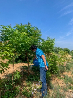 ไฟล์แนบ กปภ.สาขารังสิต(พ) ร่วมโครงการ โคก หนอง นา สัปปายะและรมณียสถาน สถานปฏิบัติธรรมสมเด็จพระสังฆราช (อมพรมหาเถร) ของสำนักงานทรัพยากรธรรมชาติและสิ่งแวดล้อมจังหวัดปทุมธานี