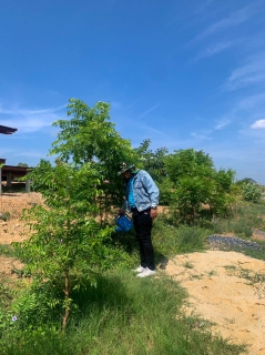 ไฟล์แนบ กปภ.สาขารังสิต(พ) ร่วมโครงการ โคก หนอง นา สัปปายะและรมณียสถาน สถานปฏิบัติธรรมสมเด็จพระสังฆราช (อมพรมหาเถร) ของสำนักงานทรัพยากรธรรมชาติและสิ่งแวดล้อมจังหวัดปทุมธานี