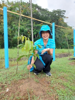 ไฟล์แนบ กปภ.สาขาระนอง จัดกิจกรรมในโครงการ กปภ.ปลูกป่าเพื่อแผ่นดิน เทิดพระเกียรติพระบาทสมเด็จพระบรมชนกาธิเบศร มหาภูมิพลอดุลยเดชมหาราช บรมนาถบพิตร ปี 2566
