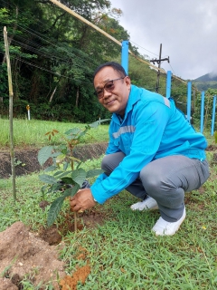 ไฟล์แนบ กปภ.สาขาระนอง จัดกิจกรรมในโครงการ กปภ.ปลูกป่าเพื่อแผ่นดิน เทิดพระเกียรติพระบาทสมเด็จพระบรมชนกาธิเบศร มหาภูมิพลอดุลยเดชมหาราช บรมนาถบพิตร ปี 2566