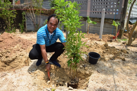 ไฟล์แนบ กปภ.สาขาระยอง จัดโครงการ กปภ. ปลูกป่าเพื่อแผ่นดินฯ และกิจกรรมวันต้นไม้ประจำปีของชาติ ๒๕๖๖