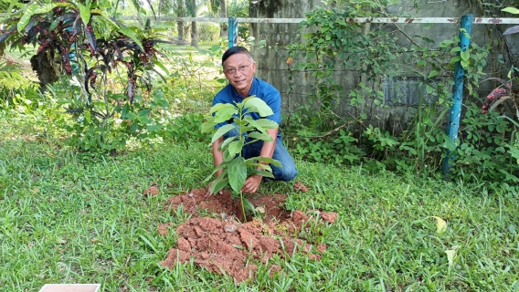 ไฟล์แนบ กปภ.สาขาคลองท่อม จัดกิจกรรมวันต้นไม้ประจำปีของชาติ ประจำปี 2566 