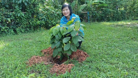 ไฟล์แนบ กปภ.สาขาคลองท่อม จัดกิจกรรมวันต้นไม้ประจำปีของชาติ ประจำปี 2566 