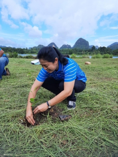 ไฟล์แนบ การประปาส่วนภูมิภาคสาขากระบี่ จัดกิจกรรมปลูกต้นไม้เนื่องในวันต้นไม้ประจำปีของชาติ โครงการ กปภ.ปลูกป่าเพื่อแผ่นดิน เทิดพระเกียรติพระบาทสมเด็จพระบรมชนกาธิเบศร มหาภูมิพลอดุลยเดชมหาราช บรมนาถบพิตร (Fathers Land) ปี 2566