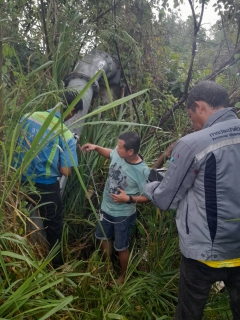 ไฟล์แนบ การประปาส่วนภูมิภาคสาขากาญจนดิษฐ์ ติดตามแก้ปัญหาน้ำไม่ไหลหรือไหลอ่อนพื้นที่ โซนสูงอำเภอดอนสัก   วันพุธที่ 31 พฤษภาคม 2566 การประปาส่วนภูมิภาคสาขากาญจนดิษฐ์ โดยนายสุรพงศ์ สมหวัง ผู้จัดการการประปาส่วนภูมิภาคสาขากาญจนดิษฐ์ มอบหมายหัวหน้างาน พนักงานและลูกจ้างในสังกัด ร่วมกับงานควบคุมน้ำสูญเสีย กองระบบจำหน่าย กปภ.เขต 4  ดำเนินการตรวจวัดอัตราการไหลของน้ำในเส้นท่อส่งน้ำเพื่อนำมาวิเคราะห์วางแผนการหาน้ำสูญเสียในพื้นที่บริการ ของ กปภ.สาขากาญ๗นดิษฐ์ เพื่อลดน้ำสูญเสียและเพิ่มแรงดันในเส้นท่อต่อไป