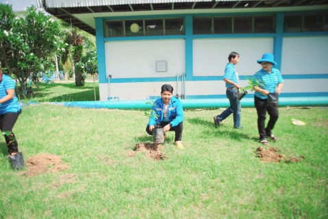 ไฟล์แนบ กปภ.สาขาบ้านตาขุน จัดกิจกรรมในโครงการ กปภ.ปลูกป่าเพื่อแผ่นดิน เทิดพระเกียรติพระบาทสมเด็จพระบรมชนกาธิเบศร มหาภูมิพลอดุลยเดชมหาราช บรมนาถบพิตร ปี 2566