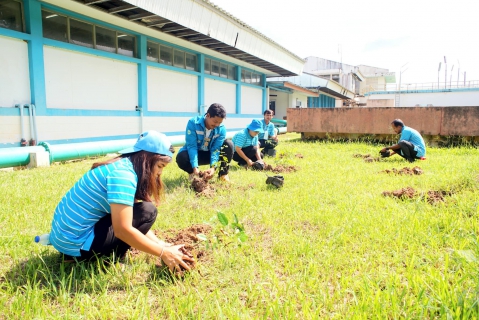 ไฟล์แนบ กปภ.สาขาบ้านตาขุน จัดกิจกรรมในโครงการ กปภ.ปลูกป่าเพื่อแผ่นดิน เทิดพระเกียรติพระบาทสมเด็จพระบรมชนกาธิเบศร มหาภูมิพลอดุลยเดชมหาราช บรมนาถบพิตร ปี 2566
