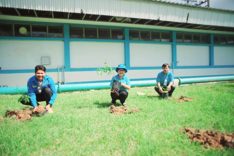 ไฟล์แนบ กปภ.สาขาบ้านตาขุน จัดกิจกรรมในโครงการ กปภ.ปลูกป่าเพื่อแผ่นดิน เทิดพระเกียรติพระบาทสมเด็จพระบรมชนกาธิเบศร มหาภูมิพลอดุลยเดชมหาราช บรมนาถบพิตร ปี 2566