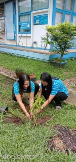 ไฟล์แนบ พนักงานร่วมปลูกต้นไม้