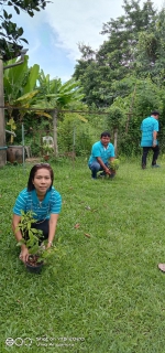 ไฟล์แนบ พนักงานร่วมปลูกต้นไม้
