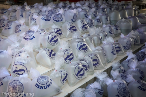 ไฟล์แนบ กปภ.บ้านฉาง ร่วมปล่อยพันธุ์ปลา เนื่องในวันเฉลิมพระชนมพรรษาสมเด็จพระราชินี