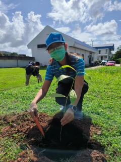 ไฟล์แนบ การประปาส่วนภูมิภาคสาขาภูเก็ต ดำเนินโครงการ กปภ.ปลูกป่าเพื่อแผ่นดิน เทิดพระเกียรติ พระบาทสมเด็จพระบรมชนกาธิเบศร มหาภูมิพลอดุลยเดชมหาราช บรมนาถบพิตร (Fathers Land) ปี 2566