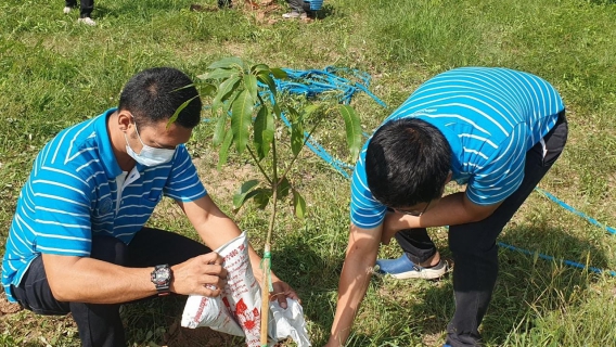 ไฟล์แนบ การประปาส่วนภูมิภาคสาขาพิมายอ ร่วมปลูกต้นไม้ ณ บริเวณรอบอาคารสำนักงานประปาพิมาย ภายใต้โครงการ กปภ.ปลูกป่าเพื่อแผ่นดิน เทิดพระเกียรติ พระบาทสมเด็จพระบรมชนกาธิเบศร มหาภูมิพลอดุลยเดชมหาราช บรมนาถบพิตร (Fathers Land) ปี 2566