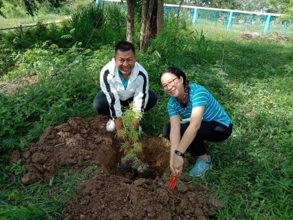 ไฟล์แนบ การประปาส่วนภูมิภาคสาขาพิมายอ ร่วมปลูกต้นไม้ ณ บริเวณรอบอาคารสำนักงานประปาพิมาย ภายใต้โครงการ กปภ.ปลูกป่าเพื่อแผ่นดิน เทิดพระเกียรติ พระบาทสมเด็จพระบรมชนกาธิเบศร มหาภูมิพลอดุลยเดชมหาราช บรมนาถบพิตร (Fathers Land) ปี 2566