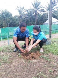 ไฟล์แนบ การประปาส่วนภูมิภาคสาขาท่าแซะ ดำเนินโครงการ กปภ.ปลูกป่าต้นน้ำเพื่อแผ่นดิน เทิดพระเกียรติพระบาทสมเด็จพระบรมชนกาธิเบศร มหาภูมิพลอดุลยเดชมหาราช บรมนาถบพิตร (Fathers Land) ปี ๒๕๖๖