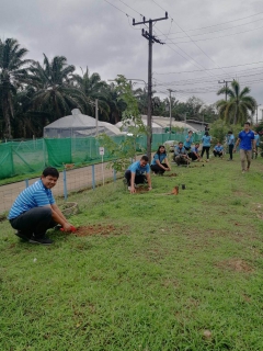 ไฟล์แนบ การประปาส่วนภูมิภาคสาขาท่าแซะ ดำเนินโครงการ กปภ.ปลูกป่าต้นน้ำเพื่อแผ่นดิน เทิดพระเกียรติพระบาทสมเด็จพระบรมชนกาธิเบศร มหาภูมิพลอดุลยเดชมหาราช บรมนาถบพิตร (Fathers Land) ปี ๒๕๖๖