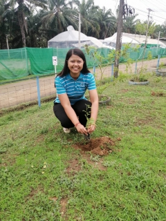 ไฟล์แนบ การประปาส่วนภูมิภาคสาขาท่าแซะ ดำเนินโครงการ กปภ.ปลูกป่าต้นน้ำเพื่อแผ่นดิน เทิดพระเกียรติพระบาทสมเด็จพระบรมชนกาธิเบศร มหาภูมิพลอดุลยเดชมหาราช บรมนาถบพิตร (Fathers Land) ปี ๒๕๖๖