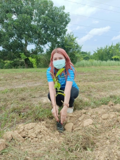 ไฟล์แนบ การประปาส่วนภูมิภาคสาขาปากน้ำประแสร์ ดำเนินกิจกรรมวันต้นไม้ประจำปีของชาติ พ.ศ. 2566