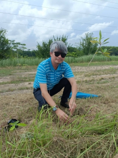 ไฟล์แนบ การประปาส่วนภูมิภาคสาขาปากน้ำประแสร์ ดำเนินกิจกรรมวันต้นไม้ประจำปีของชาติ พ.ศ. 2566
