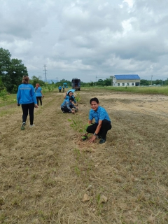 ไฟล์แนบ การประปาส่วนภูมิภาคสาขาปากน้ำประแสร์ ดำเนินกิจกรรมวันต้นไม้ประจำปีของชาติ พ.ศ. 2566