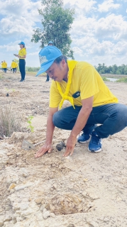 ไฟล์แนบ การประปาส่วนภูมิภาคสาขาชุมพร ร่วมกับจังหวัดชุมพร ดำเนินกิจกรรมปลูกต้นไม้ เนื่องในวันคล้ายวันเฉลิมพระชนมพรรษา สมเด็จพระนางเจ้าสุทิดาพัชรสุธาพิมลลักษณ พระบรมราชินี