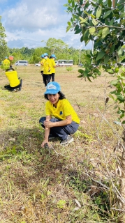 ไฟล์แนบ การประปาส่วนภูมิภาคสาขาชุมพร ร่วมกับจังหวัดชุมพร ดำเนินกิจกรรมปลูกต้นไม้ เนื่องในวันคล้ายวันเฉลิมพระชนมพรรษา สมเด็จพระนางเจ้าสุทิดาพัชรสุธาพิมลลักษณ พระบรมราชินี