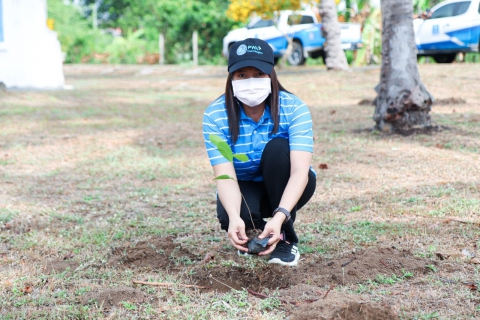 ไฟล์แนบ การประปาส่วนภูมิภาคสาขาประจวบคีรีขันธ์  ดำเนินการจัดกิจกรรมใน โครงการ กปภ. ปลูกป่าเพื่อแผ่นดินเทิดพระเกียรติพระบาทสมเด็จพระบรมชนกาธิเบศร มหาภูมิพลอดุลยเดชมหาราช บรมนาถบพิตร (FatherLand) ปี 2566 