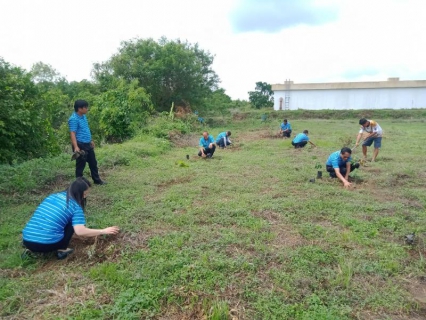 ไฟล์แนบ กปภ.สาขาบุรีรัมย์จัดกิจกรรม กปภ.ปลูกป่าเพื่อแผ่นดิน วันป่าชุมชนแห่งชาติ ประจำปี พ.ศ. 2566