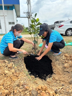 ไฟล์แนบ กปภ.สาขาราชบุรี จัดกิจกรรมโครงการ กปภ.ปลูกป่าเพื่อแผ่นดิน เทิดพระเกียรติพระบาทสมเด็จพระบรมชนกาธิเบศร มหาภูมิพลอดุลยเดชมหาราช บรมนาถบพิตร ประจำปี 2566