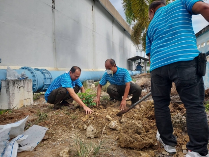 ไฟล์แนบ กปภ.สาขาสามพราน จัดกิจกรรมโครงการ กปภ.ปลูกป่าเพื่อแผ่นดิน เทิดพระเกียรติพระบาทสมเด็จพระบรมชนกาธิเบศร มหาภูมิพลอดุลยเดชมหาราช บรมนาถบพิตร ประจำปี 2566