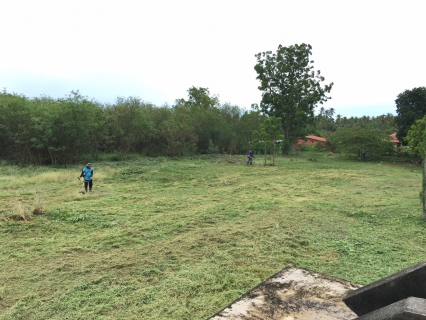 ไฟล์แนบ การประปาส่วนภูมิภาคสาขากาญจนดิษฐ์ จัดกิจกรรมพัฒนาปรับปรุงภูมิทัศน์และความสะอาดภายในสำนักงานดอนสัก หน่วยบริการดอนสัก กปภ.สาขากาญจนดิษฐ์ 