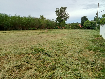 ไฟล์แนบ การประปาส่วนภูมิภาคสาขากาญจนดิษฐ์ จัดกิจกรรมพัฒนาปรับปรุงภูมิทัศน์และความสะอาดภายในสำนักงานดอนสัก หน่วยบริการดอนสัก กปภ.สาขากาญจนดิษฐ์ 