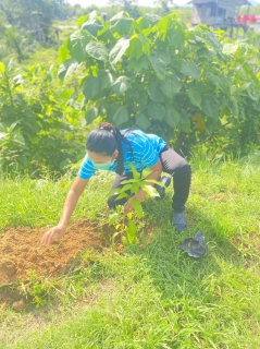ไฟล์แนบ กปภ.สาขาจันดี จัดกิจกรรมโครงการ กปภ.ปลูกป่าเพื่อแผ่นดิน เทิดพระเกียรติพระบาทสมเด็จพระบรมชนกาธิเบศรมหาภูมิพลอดุลยเดชมหาราช บรมนาถบพิตร ประจำปี 2566