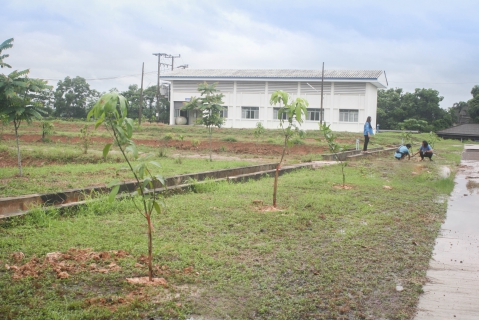 ไฟล์แนบ กปภ.สาขาตราด ดำเนินโครงการ กปภ.ปลูกป่าเพื่อแผ่นดิน เทิดพระเกียรติพระบาทสมเด็จพระบรมชนกาธิเบศร มหาภูมิพลอดุลยเดชมหาราช บรมนาถบพิตร ปี 2566 