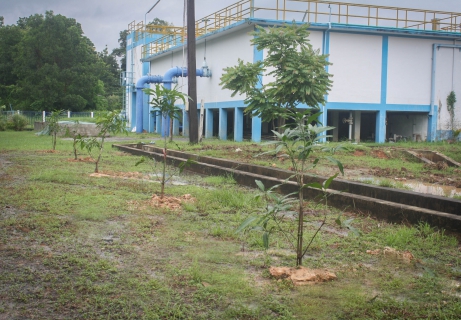 ไฟล์แนบ กปภ.สาขาตราด ดำเนินโครงการ กปภ.ปลูกป่าเพื่อแผ่นดิน เทิดพระเกียรติพระบาทสมเด็จพระบรมชนกาธิเบศร มหาภูมิพลอดุลยเดชมหาราช บรมนาถบพิตร ปี 2566 