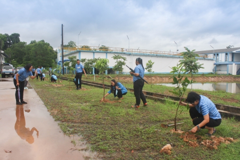 ไฟล์แนบ กปภ.สาขาตราด ดำเนินโครงการ กปภ.ปลูกป่าเพื่อแผ่นดิน เทิดพระเกียรติพระบาทสมเด็จพระบรมชนกาธิเบศร มหาภูมิพลอดุลยเดชมหาราช บรมนาถบพิตร ปี 2566 