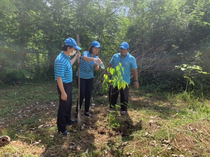 ไฟล์แนบ กปภ.สาขาปากพนัง จัดกิจกรรม โครงการ กปภ.ปลูกป่าเพื่อแผ่นดิน เทิดพระเกียรติพระบาทสมเด็จ พระบรมชนกาธิเบศร มหาภูมิพลอดุลยเดชมหาราช บรมนาถบพิตร ปี 2566 