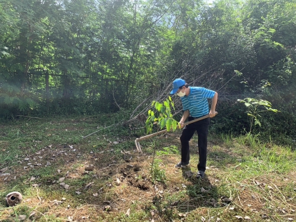 ไฟล์แนบ กปภ.สาขาปากพนัง จัดกิจกรรม โครงการ กปภ.ปลูกป่าเพื่อแผ่นดิน เทิดพระเกียรติพระบาทสมเด็จ พระบรมชนกาธิเบศร มหาภูมิพลอดุลยเดชมหาราช บรมนาถบพิตร ปี 2566 