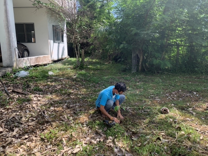 ไฟล์แนบ กปภ.สาขาปากพนัง จัดกิจกรรม โครงการ กปภ.ปลูกป่าเพื่อแผ่นดิน เทิดพระเกียรติพระบาทสมเด็จ พระบรมชนกาธิเบศร มหาภูมิพลอดุลยเดชมหาราช บรมนาถบพิตร ปี 2566 