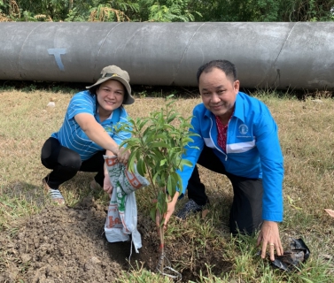 ไฟล์แนบ กปภ.สาขาธัญบุรี จัดกิจกรรมปลูกต้นไม้ภายใต้โครงการ กปภ.ปลูกป่าเพื่อแผ่นดินเทิดพระเกียรติพระบาทสมเด็จพระบรมชนกาธิเบศร มหาภูมิพลอดุลยเดชมหาราช บรมนาถบพิตร (Fathers Land) ปี 2566 และเนื่องในวันต้นไม้ประจำปีของชาติ ประจำปี 2566 