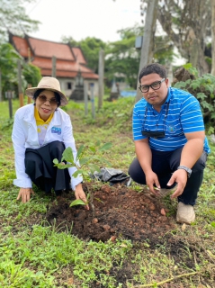 ไฟล์แนบ กปภ.สาขาไชยา จัดกิจกรรม PWAปลูกป่าเพื่อแผ่นดิน