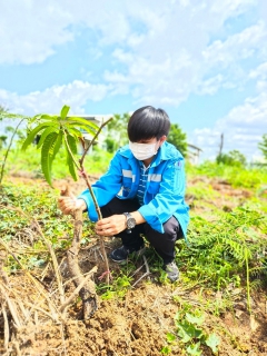 ไฟล์แนบ การประส่วนภูมิภาคสาขาสุโขทัย โดยนายธงชัย สถิตย์ตระกูล ผู้จัดการ ดำเนินการกิจกรรม ร่วมโครงการ กปภ.ปลูกป่าเพื่อแผ่นดิน เทิดพระเกียรติพระบาทสมเด็จพระบรมชนกาธิเบศร มหาภูมิพลอดุลยเดชมหาราช บรมนาถบพิตร (Father