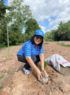 ไฟล์แนบ โครงการ กปภ.ปลูกป่าเพื่อแผ่นดิน