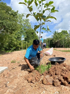 ไฟล์แนบ โครงการ กปภ.ปลูกป่าเพื่อแผ่นดิน