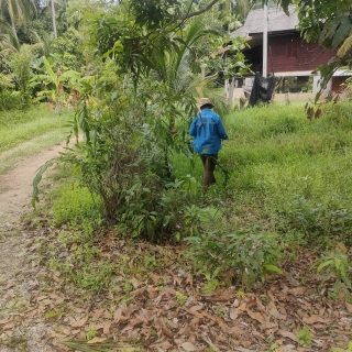 ไฟล์แนบ กปภ.สาขาไชยา ลงพื้นที่ค้นหาท่อแตก/รั่ว ในพื้นที่ ตำบลท่าชนะ อำเภอท่าชนะ จังหวัดสุราษฎร์ธานี